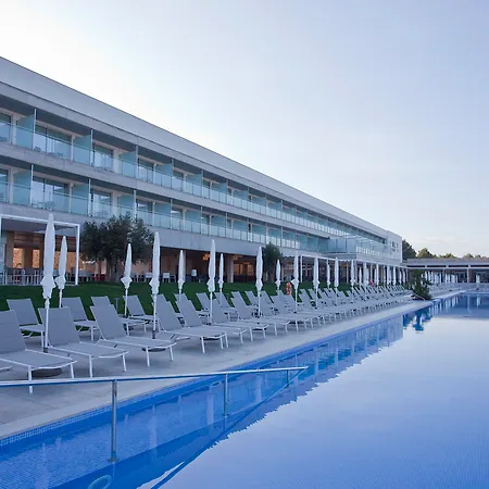 Seth 55 Santo Tomás