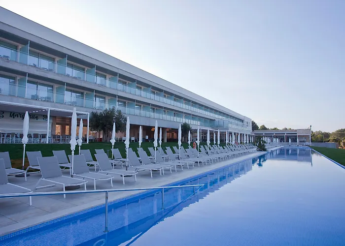 Seth 55 Santo Tomás