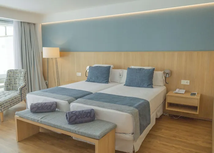 Seth 55 Santo Tomás