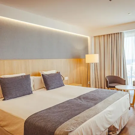 Seth 55 Santo Tomás