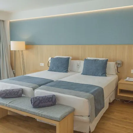 Seth 55 Santo Tomás