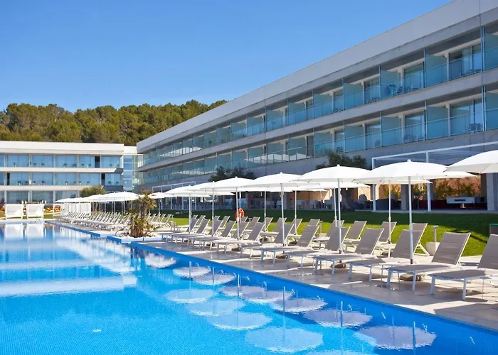 Seth 55 Santo Tomás